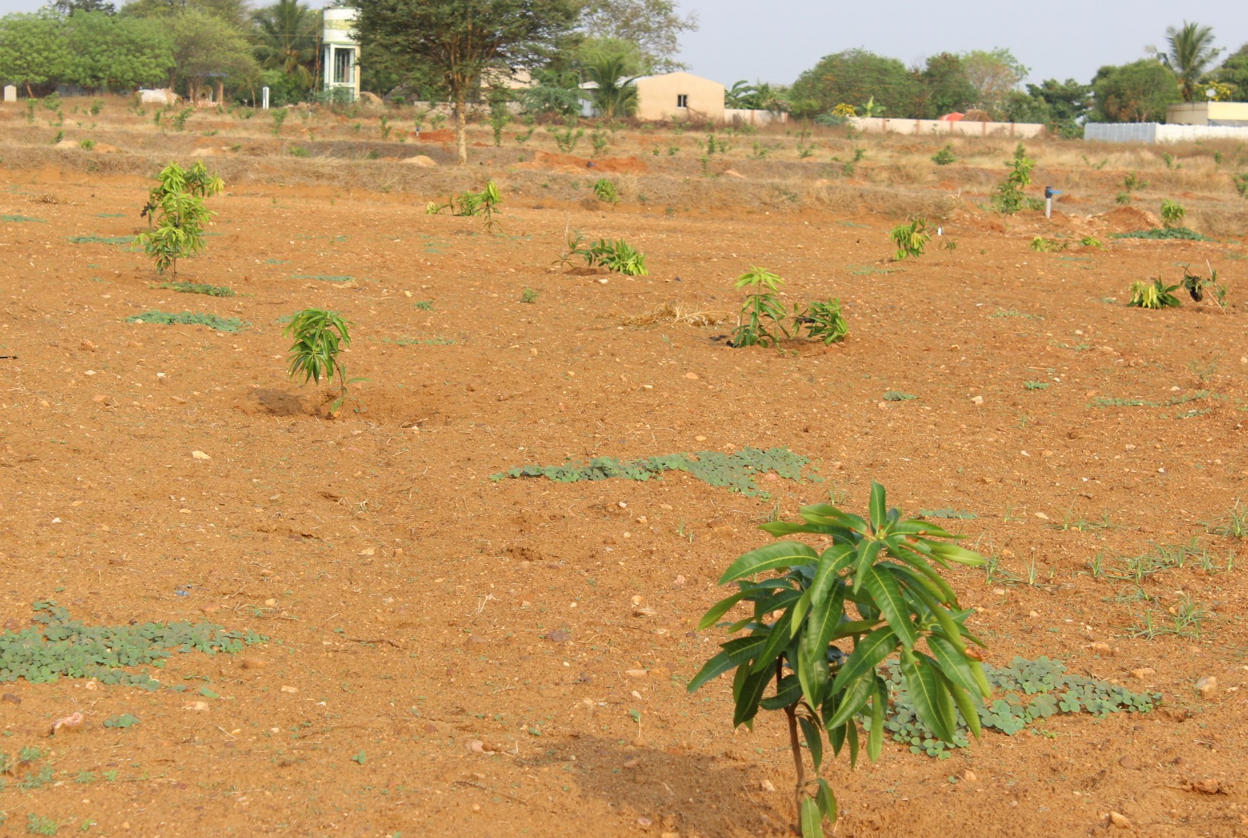 Event Image 1